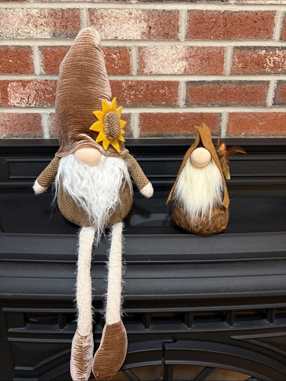 Fall  Gnomes
